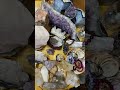 Gem stone collection