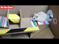 Funny Hamster | Hamster Escape Maze Collorful Ver1