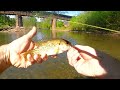 On the River #riverfishing #redeye #rockbass