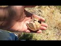 Metal Detecting 110 Year Old House Site!