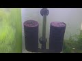 How to Clean Undergravel Filter in your Shrimp Tank?