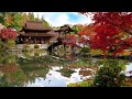 Japanese Meditation Zen Garden 禅の庭 Kebun | ASMR Ambience for Relaxation Reading Meditation Sleeping