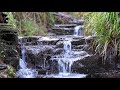 8 Hours Nature Sounds-Waterfall-Relaxing Meditation W/O Birdsong-Calming-Water Falling Sound Effect