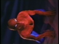 Spider-Man Commercials on VHS