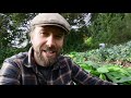 Why we plant COMFREY EVERYWHERE! | FOOD FOREST PERMACULTURE FARM & NO DIG MARKET GARDENING