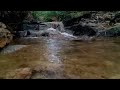 Nature sounds forest, terapi air mengalir tenang, running water sound