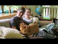 Pets Meet Baby For The First Time!