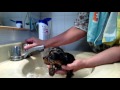 Tutorial-como bañar a tu cachorro