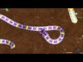 NOOB vs Monster - Little Big Snake Best Trolling Monster Epic Littlebigsnake.io Gameplay!