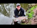 Hunting Big Trout in the North of England at New Mills Trout Fishery