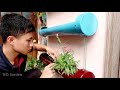 Amazing DIY Vertical Gardens from Plastic Pipes for Small Garden and Balcony