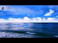 Outdoor Relaxing Wave Sound Tress Free at the Beach