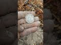 Big Silver, detecting woods