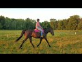 Western Horsemanship W/T and Amy Moskin with Illusion Offreedom