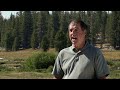 One Of The Most Amazing Places Of The World | National Parks: Yosemite | Documentary Central