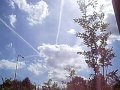 chemtrails over my yard