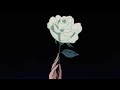 lovely - billie eilish ft. khalid (slowed n reverb)