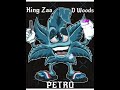 King Zaa x DWoodz - Petro (Official Audio)