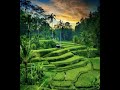 Rindik Bali Terbaru//2024//Relaxs Bamboo//Non Stop 1 jam//Rindik Penyejuk Hati//@wayan rindik bali