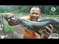 MANCING GABUS TOMAN MOSTER