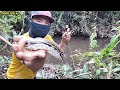 MANCING DI HUTAN KALIMANTAN /// Dapat di sesuaikan target ikan nya