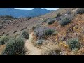 PCT 2024 Superbloom