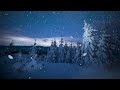 Winter Night Ambience 4K | Twinkling Stars & Snow Ambience | Crickets & Winter Wind Sounds for Sleep
