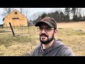 Pruning Apple Trees after their First Year of Growth