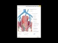 Анатомия и физиология - Лекция 69 - Анатомия и функции толстой кишки; гниение