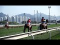 Sony a55 + 1680ZA @ Shatin Racecourse