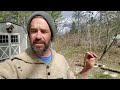 Permaculture Tree Management - Opening light and succession direction