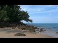 Lonely Beach in Nature Reserve🌴 Relaxing Sounds of Waves  | ASMR in 4K