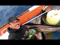 How we catch Marlin in Jamaica 🇯🇲 part 2