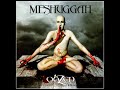 Turrigenous - Bleed (Meshuggah Cover)