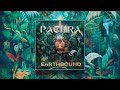 PACHIRA - Earthbound (Continuous Mix) [Organic Downtempo | Folktronica]