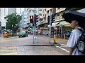 VISITING MY PREVIOUS EMPLOYER || VLOG BMI HONG KONG #taipo