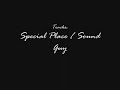 Sub Focus - Special Place - Sound Guy REMIX (SaiTeK)