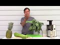 Best Way to Eat Moringa is to Drink It - How to Juice Fresh Moringa Oleifera Leaves