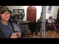 Marimba en Todos Santos Cuchumatan 2021