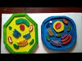 tlm for B Ed teaching। science project। plant and human cell model making। উদ্ভিদ ও প্রাণী কোষ