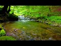 4K HDR Relaxing mountain stream.  Peaceful water flowing sound and birds chirping in the forest.