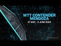 Cheng Hsien Tzu vs Mo Zhang | WS R16 | WTT Contender Mendoza 2024