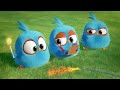 Angry Birds Blues | Ep. 26 to 30