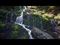 Sonidos ambientales de relajación cascada de agua 1 hora