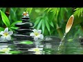 Relaxing Music for Sleep, Healing, Concentration, Calming Music, Meditation Music, Nature Sounds