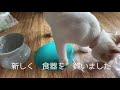 新しくなった食器^ ^