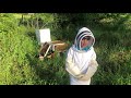 Episode #7 — Checking Bees