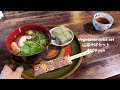 Osaka, Nara, Kyoto/Japan travel vlog/kansai/late autumn/Japanese food/temple/ghibli/park/tofu/matcha