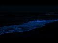 No More Insomnia With Ocean Waves Every Night 8 Hours of Soothing Ocean Sounds, 4K Video