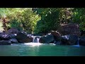 Forest stream nature ambience deep sleep water sounds relaxing video white noise meditation